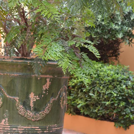 Le Mouillage Otel Saint-Tropez