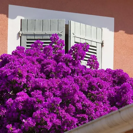 Le Mouillage Saint-Tropez