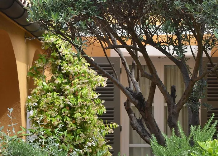 Le Mouillage 4* סן טרופז