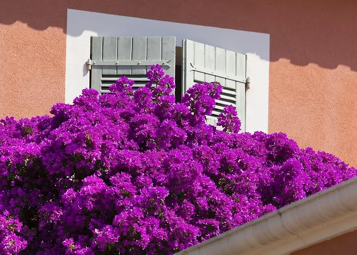 Le Mouillage סן טרופז